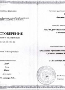 Реализация образовательных программ дошкольного образования в условиях введения ФГОС